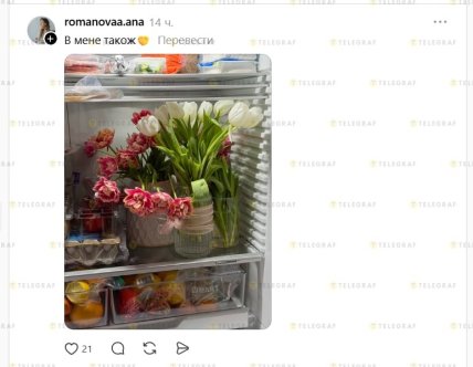 Как продлить жизнь тюльпанам