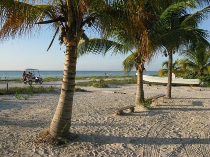 Остров Ольбош - Ваш выбор