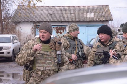 Муженко деятельность