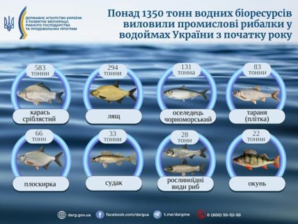 Яку рибу виловлюють в Україні