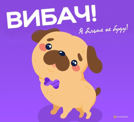 Як гарно попросити вибачення