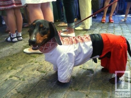 На параде вышиванок в Одессе побывал Михеил Саакашвили