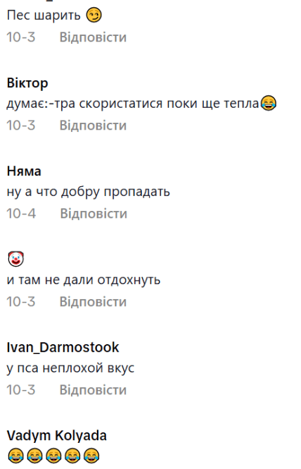 В сети смеются над поведением собаки на видео