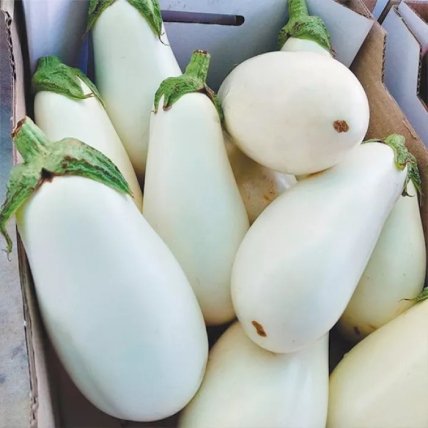 Баклажан "Бибо"