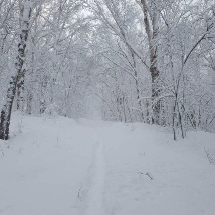 снег природа