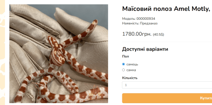 Объявление о продаже маисового полоза