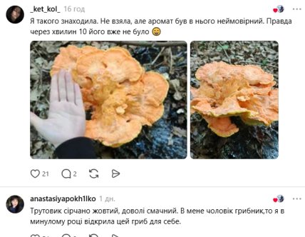 Комментарии пользователей