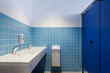 школа The King Solomon School ванная