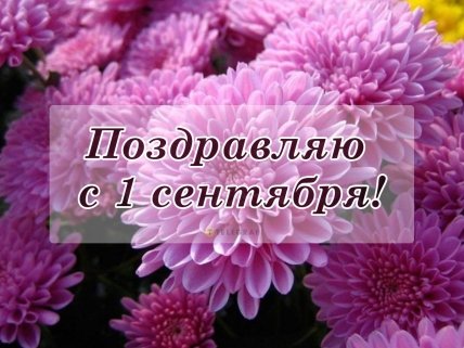 с 1 сентября открытки