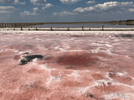 Лікувальні грязі озера почали висихати