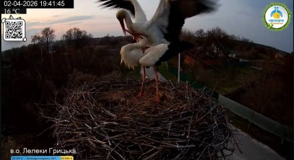 Треті лелечі піраміди