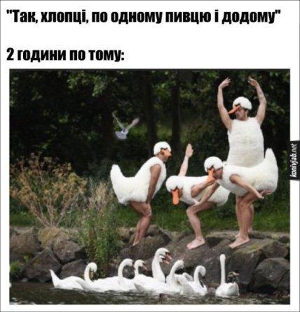 день пива приколы