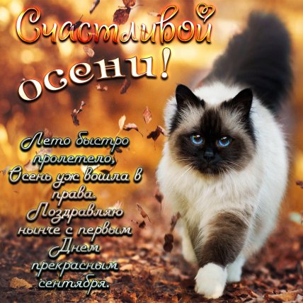 Открытки и поздравления с приходом осени