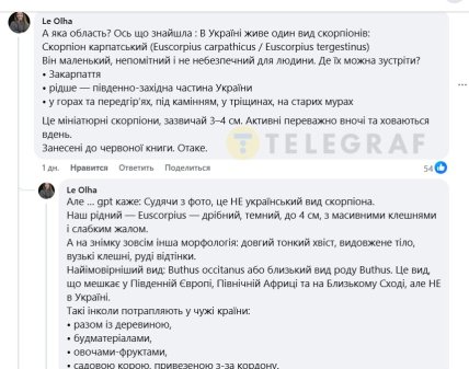 Коментарі під фото з мертвим скорпіоном на Київщині