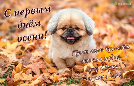 Первый день осени 2025