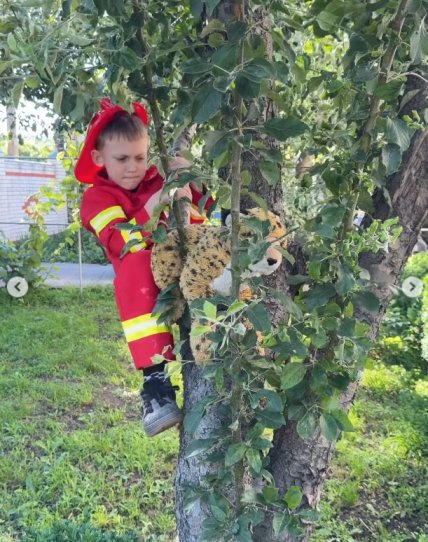 син кошмал