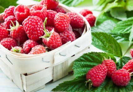 Малина Тумалін