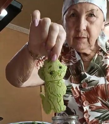 Пенсіонерка показала, який кіт в неї вийшов зі шкірки кабачка