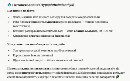 Ответ ИИ относительно вида рыб, снятых во Львовской области
