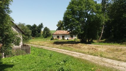 Старый дом в селе Паликоровы