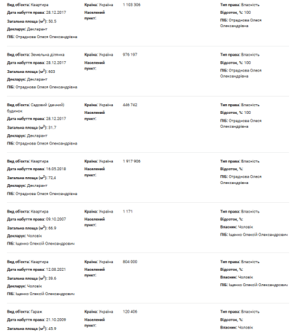 Декларации Олеси Отрадновой