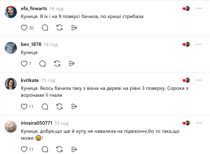 Як українці прокоментували відео з куницею у багатоповерхівці