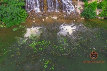 В Украине летом начинается цветение рек