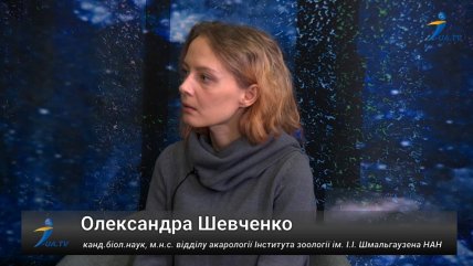 Олександра Шевченко