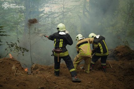 Остановить пламя пытаются почти 400 спасателей
