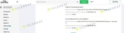Скриншот – YouControl. Кравчук является основателем 20% в фирме Эко-Инвест-Строй (35379530), владевшей 25 га земли в Козине.
