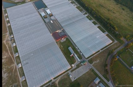 Аскания-Флора