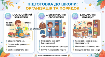 Организация и порядок