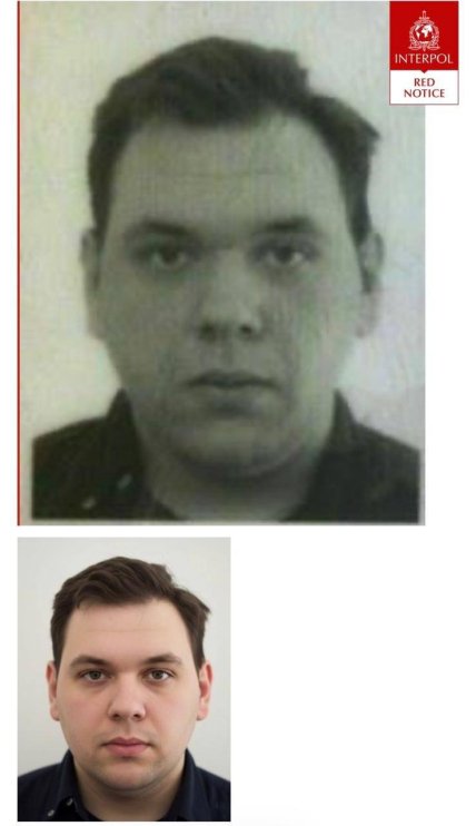 Роман Мельник (фото: interpol.int)