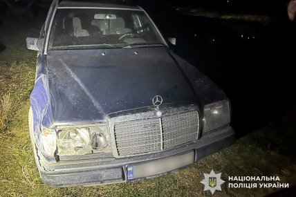 Авто, яке збило оленя Бориса