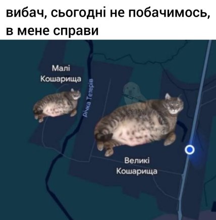 Мем про Великі та малі Кошарища