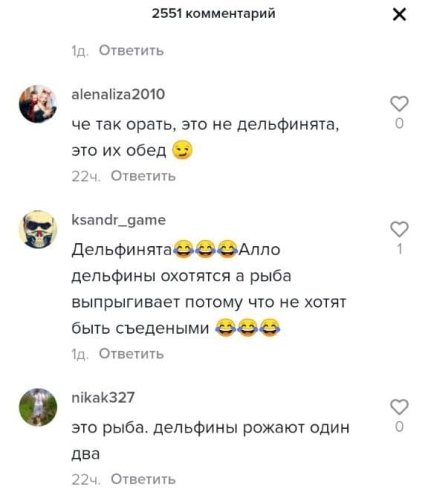 дельфины комментарии