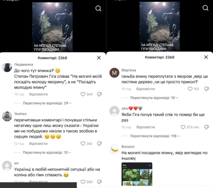 Что посадили на могиле Степана Гиги