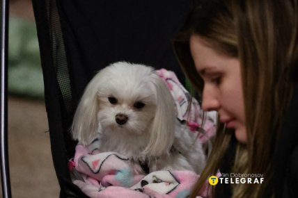 Люди и животные ночевали в метро из-за удара РФ по Киеву 6.12.2025