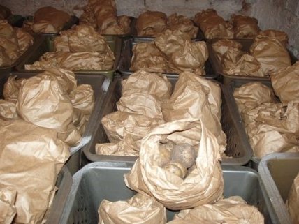 картопля у паперових пакетах