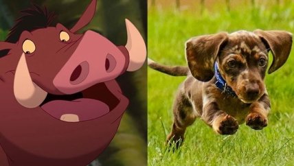 Прізвисько для собаки Пумба