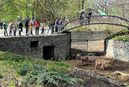 Зоопарк в Харькове до реконструкции - фото