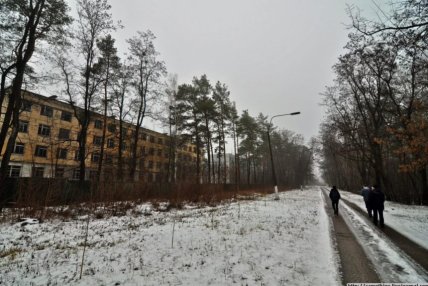 как выглядит любеч