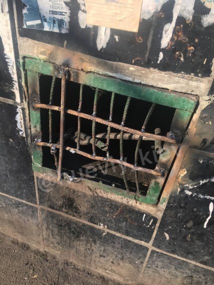 Живодеры в Киеве