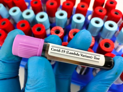 Лямбда-варіант коронавірусу