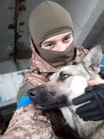 Назар Иллюк