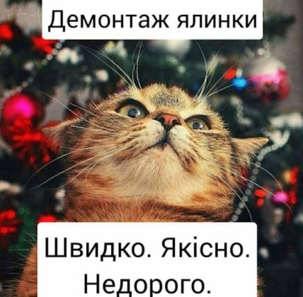 кот и елка приколы мемы