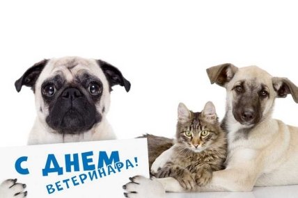 открытка с днем ветеринара 2023