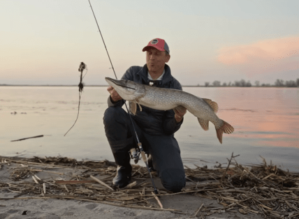 Рыбак в Днепре поймал огромную щуку