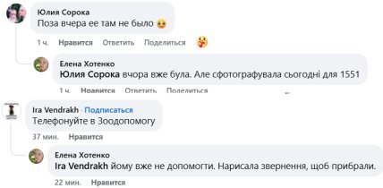 Лиса в парке Отрадный, Киев