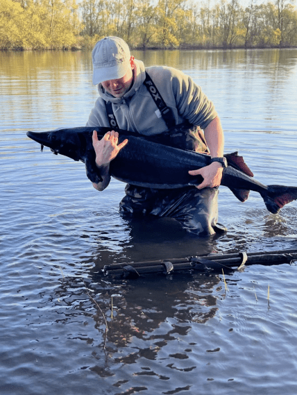 Украинец поймал осетра